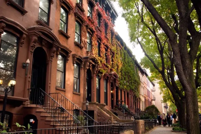 brick buildings, brownstones