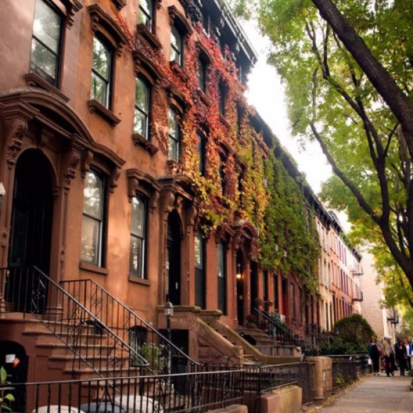 Row of historic Brooklyn brownstones with ivy‑covered façades and autumn trees along a residential street.